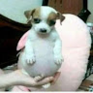 wwwwwwwwwwwwwwwaaaaa